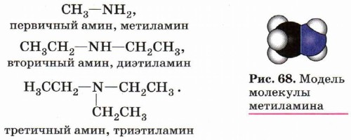 Метиламин первичный Амин. Первичный Амин пропана. Три типа Аминов. Амины химия 10 класс.