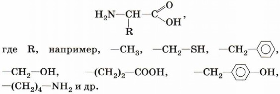 Общую формулу α-аминокислот можно записать так