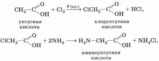 Аминокислоты можно получить из карбоновых кислот, заместив в их радикале атом водорода на галоген, а затем на аминогруппу при взаимодействии с аммиаком