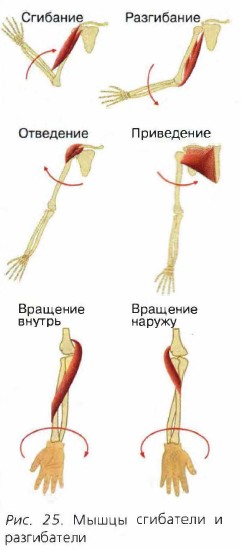 ����� ��������� � �����������