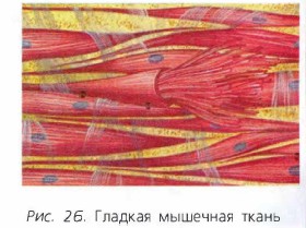 ������� �������� �����