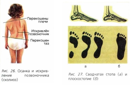 ������ � ����������� ������������