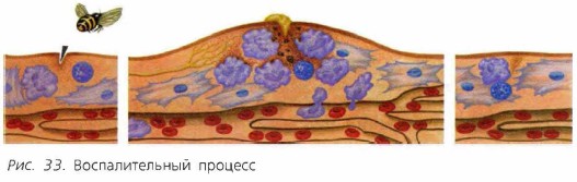 �������������� �������