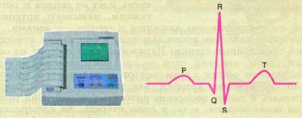 �������������������