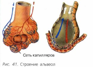 �������� �������