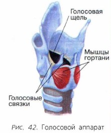 ��������� �������