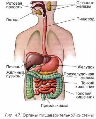 ������ ��������������� �������