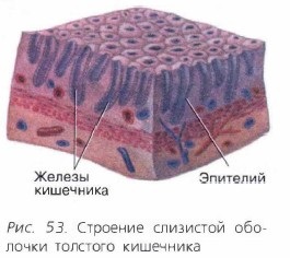 �������� ��������� �������� �������� ���������