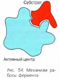 �������� ������ ��������