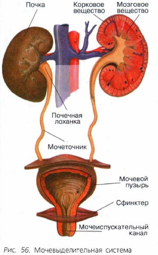 ����������������� �������