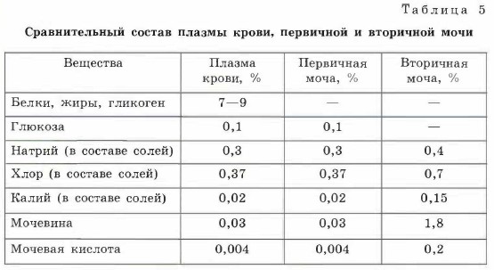 ������������� ������ ������ �����, ��������� � ��������� ����