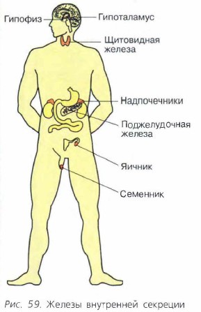 ������ ���������� ��������