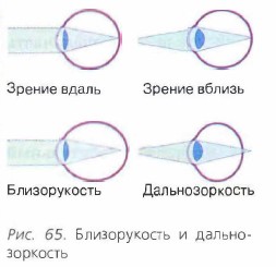 ������������ � ��������������