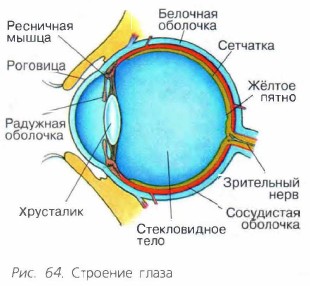 �������� �����