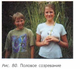 ������� ����������