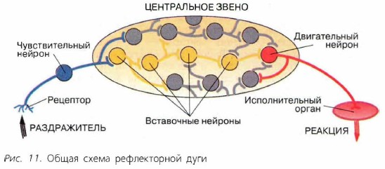 ������������ ����