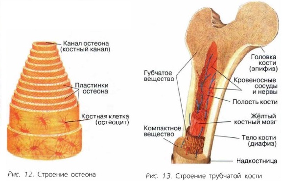 ������ � �������� �����