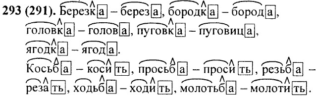 ���. 293 (291).