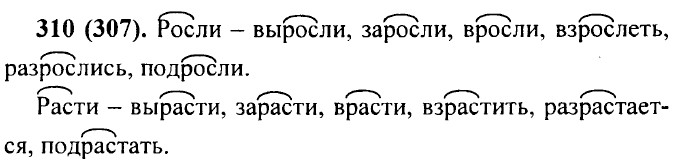 ���. 310 (307).