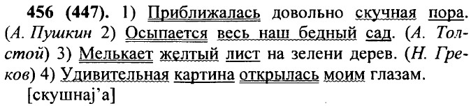 ���. 456 (447)