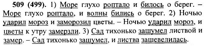 ���. 509 (499).
