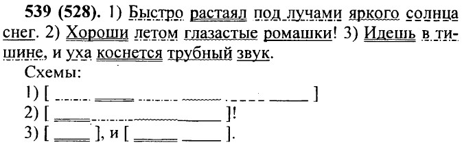 ���. 539 (528).