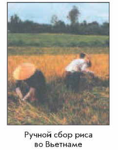 ������ ���� ���� �� ��������