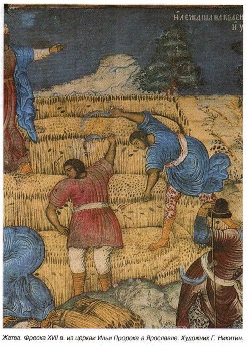 .  XVII .      .  . .