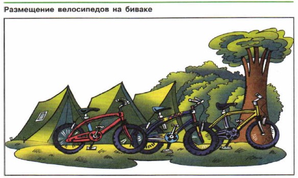 ���������� ����������� �� ������