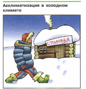 �������������� � �������� �������