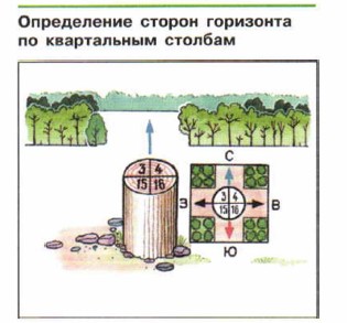 ����������� ������ ��������� �� ����������� �������