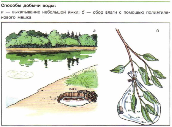 ������� ������ ����