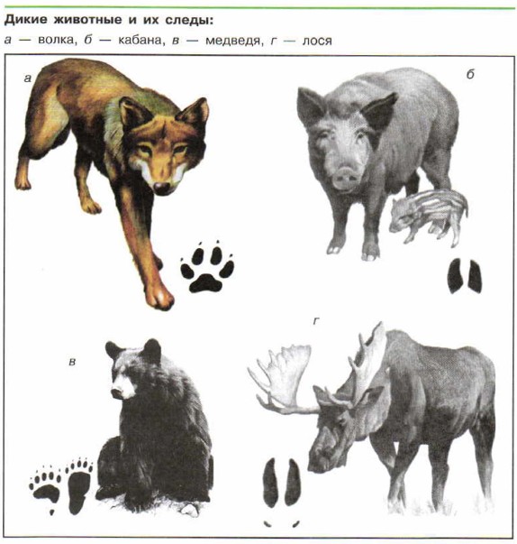 ����� �������� � �� �����