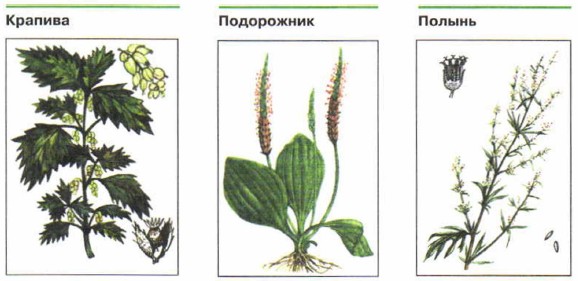 ��������, ������� ����� ��������� � ������ � ������������ ��� ������������� ��������