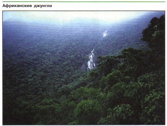 ����������� �������