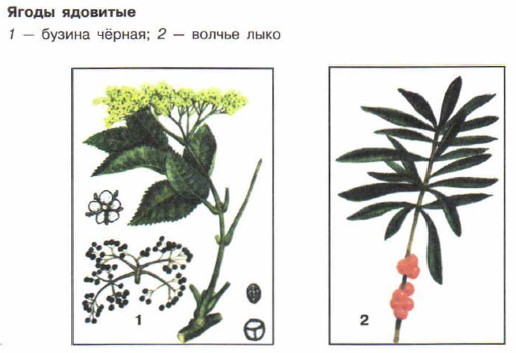 ����� ��������