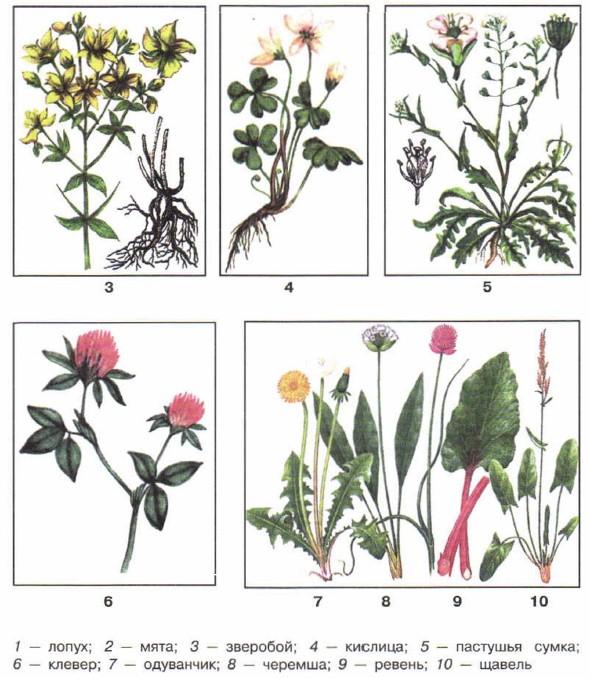 ������������� � ��������� �������� (���������)