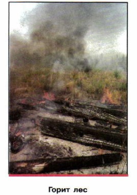 ����� ���