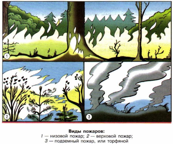 ���� �������