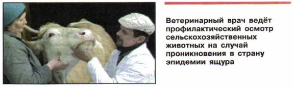 ������������ ���� ���� ���������������� ������ �������������������� ��������