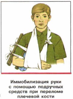 ������������� ����