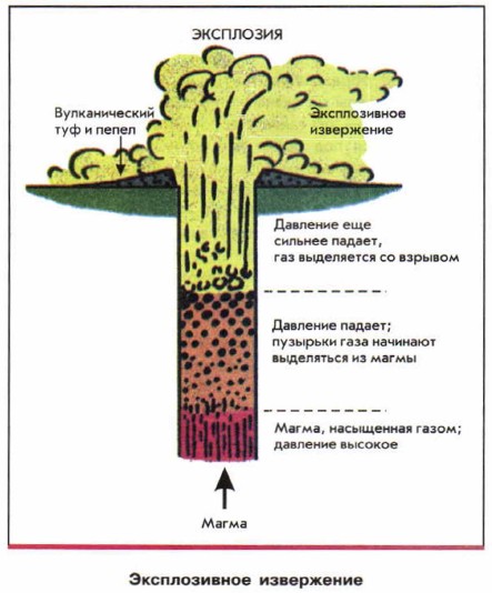 ������������ ����������