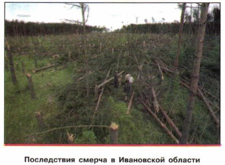 ����������� ������ � ���������� �������