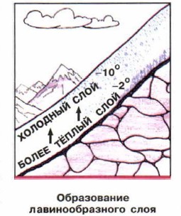 ����������� ��������������� ����