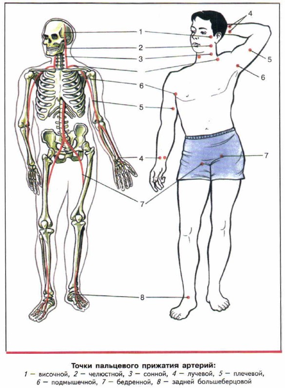 ����� ���������� �������� �������