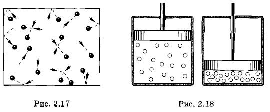 ���� ����� ���������