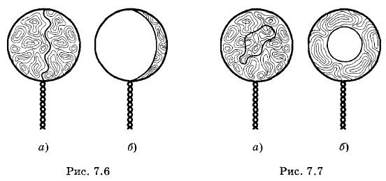 ���������� �������� ��������� �����������