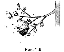 �������� ���