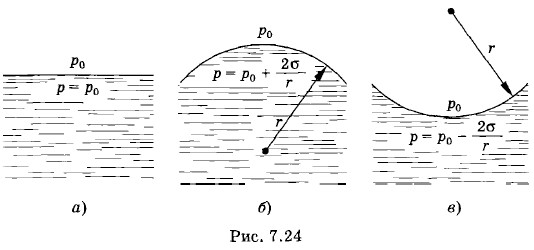 ����������� ����� ��������