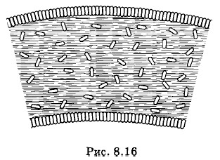 �������������������� ��������